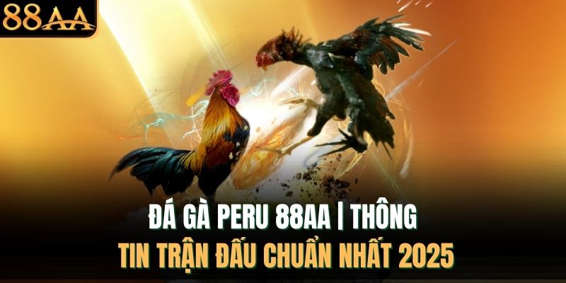 Đá Gà Peru 88AA | Thông Tin Trận Đấu Chuẩn Nhất 2025