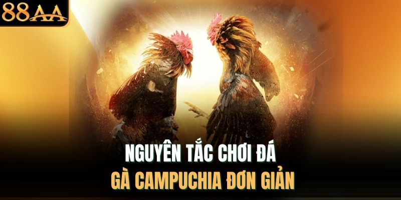 Nguyên tắc chơi đá gà Campuchia đơn giản